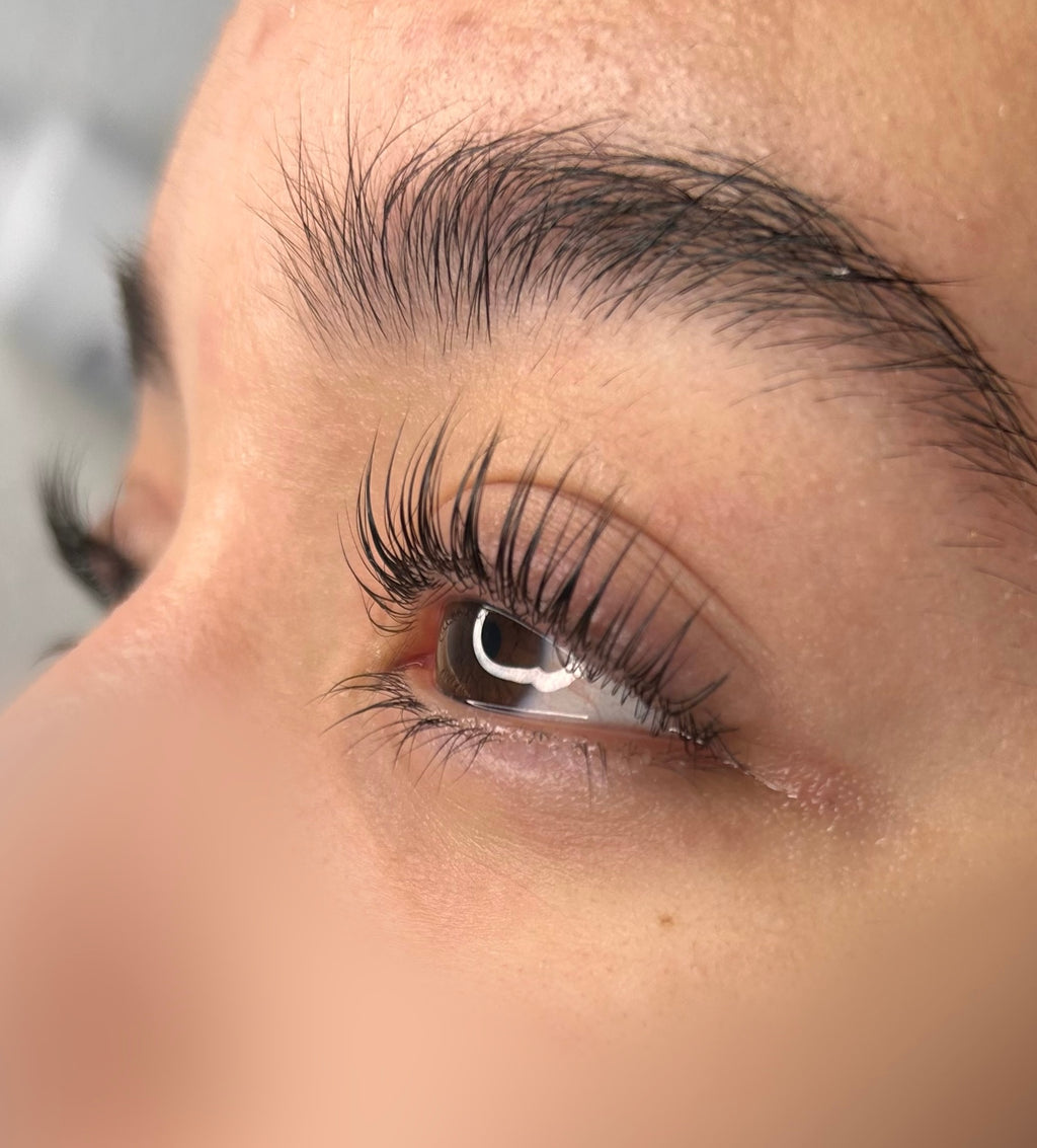 Formation rehaussement de cils - Vidéo 4K + PDF formation